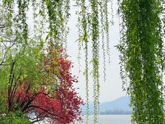-西湖天地