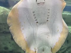 -珠海长隆海洋王国