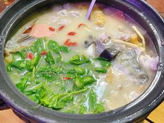 -老字号怡玺·藿香雅鱼(20年雅安店)