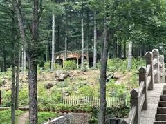 -洛阳白云山景区