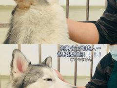 -星多哈·狗咖·拼豆·咖啡