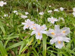 -杭州半山国家森林公园