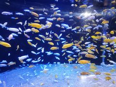 -成都浩海立方海洋公园