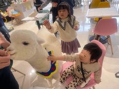 -RU DUCK柯尔鸭公社·撸鸭俱乐部·羊驼·小香猪