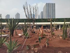 -武汉洲际酒店