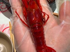 -肥肥虾庄·金牌油焖大虾(汉街SKP店)