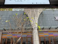 -Echo回声黑胶唱片咖啡馆