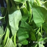 玉米夏季厨房养颜菜之炝炒空心菜