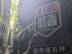 -梭布垭石林景区