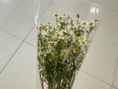 -北京华联生活超市(北京常营店)