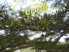-南海子公园