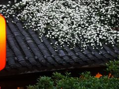 -见山书院