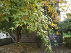 -辽宁大学(崇山校区)