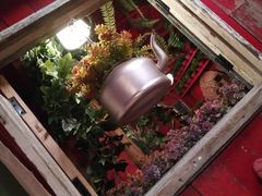 -房子红了鱼豆花重庆老火锅(广厦学院店)