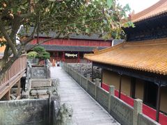 -普陀山风景名胜区-法雨禅寺