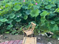 -嘉北郊野公园