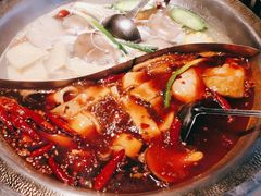 -辣伍鲜毛肚老火锅(元一店)