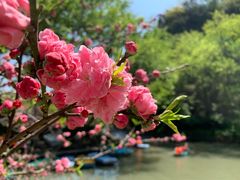 -狼山风景名胜区