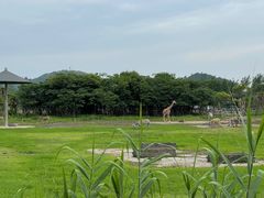 -宁波野生动物园