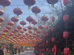 -万佛湖风景区