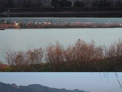 -东梓关景区村庄