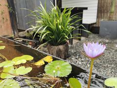-云里小坐·小院里·团建·宴请·下午茶(三圣乡店)