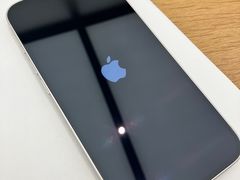 -Apple零售店(成都太古里店)