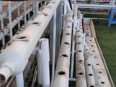 -迪茵湖田家舍生态农场