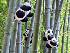 -宝岩生态观光园