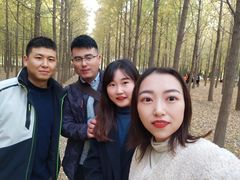 -汉景帝阳陵博物院