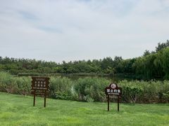 -塘沽森林公园