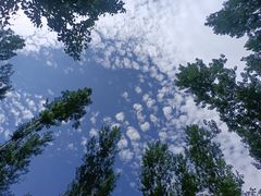-百里山水画廊