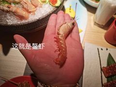 刺身拼盘-京料理·日料自助·铁板燒(复悦城店)