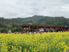 -红山村