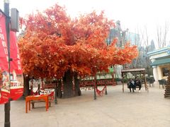 -郑州方特梦幻王国