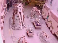 -陕西自然博物馆