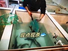 -贡椒鱼老店·雅安十大名店