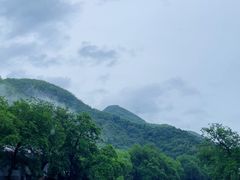 -鹿亭中村