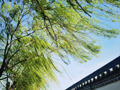 -济南大明湖景区