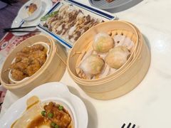 -点都德·毕德寮