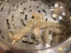 -蔚海之都·象山蒸汽海鲜(仙霞路店)