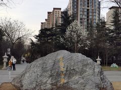 -木塔寺遗址生态公园