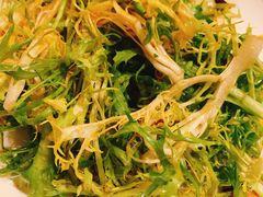 凉拌苦菊-馋嘴蛙火锅