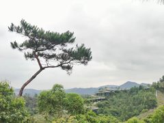 -香山湖公园
