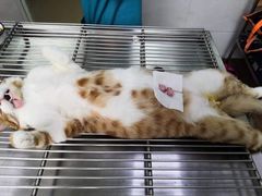 -荔康动物医院(康王北路店)