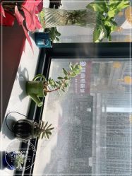 -尚艺造型.剪烫染.接发