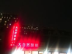 -大自然醉鹅·铁锅火焰鹅(上海联洋店)