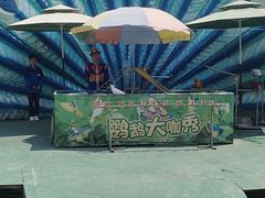 -灵玲国际马戏城