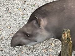 -上海野生动物园