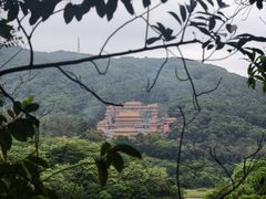 -东莞市大岭山森林公园